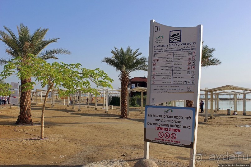 фото Мертвого моря