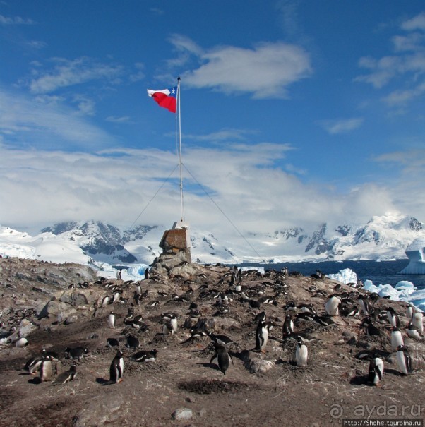 Чилийская антарктическая база Gonz. Videla в заливе Paradise