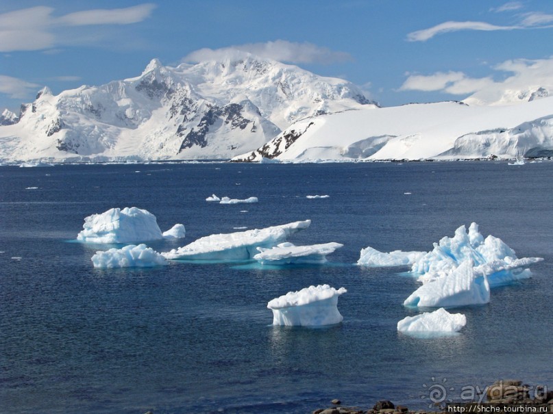 Чилийская антарктическая база Gonz. Videla в заливе Paradise