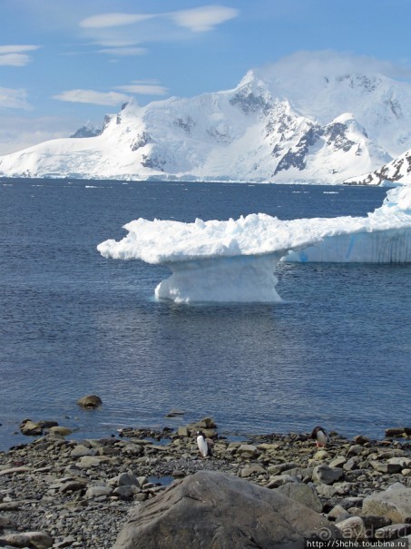 Чилийская антарктическая база Gonz. Videla в заливе Paradise