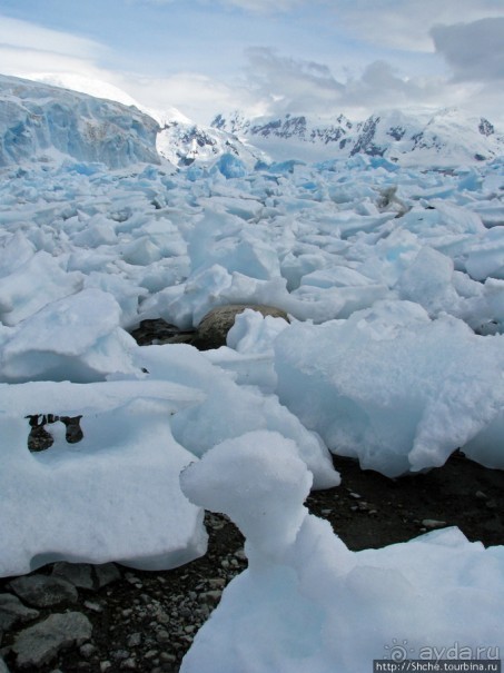 Чилийская антарктическая база Gonz. Videla в заливе Paradise
