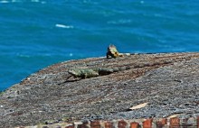 Сан Фелипе дель Морро- старейшая крепость Сан Хуана,16 век