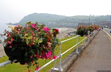 Гей-гей-гей, Баллигалли, гей-гей-гей британский курорт 