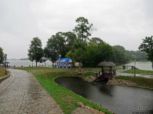 Архитектурный комплекс рода Радзивиллов (Объект ЮНЕСКО 1196)