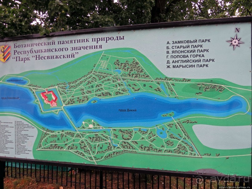 фото Несвижа