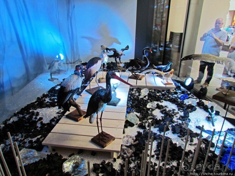 Витрины венских магазинов