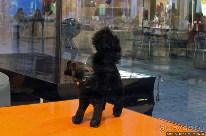 Витрины венских магазинов