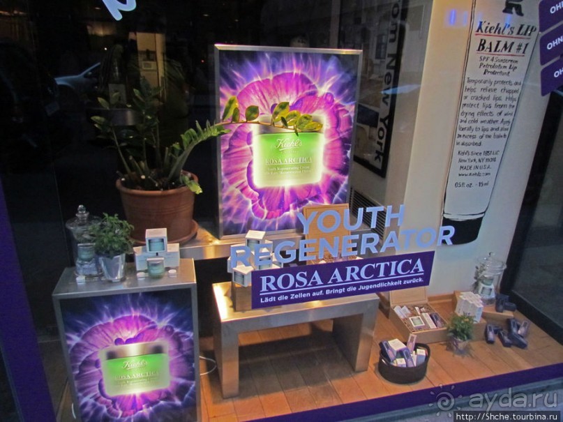 Витрины венских магазинов