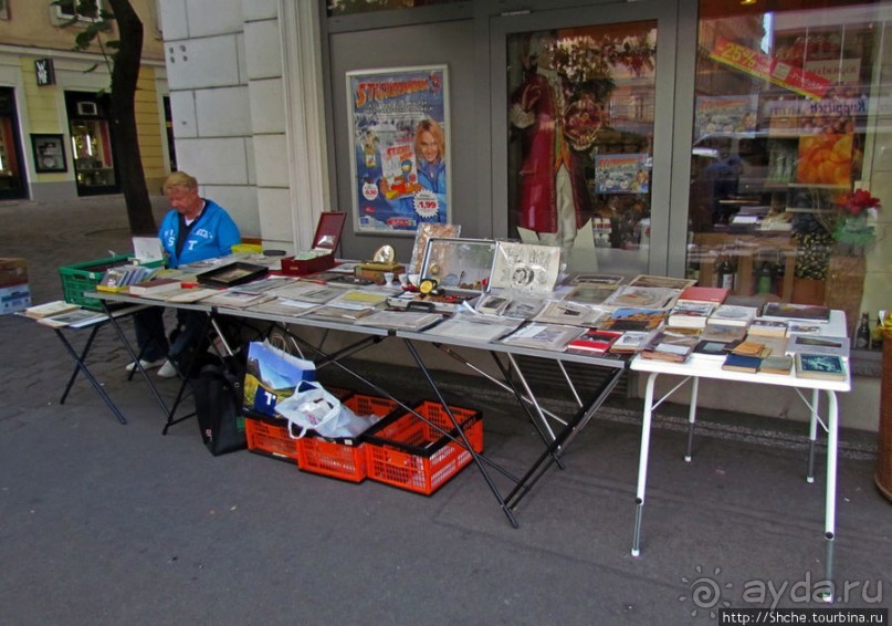 Витрины венских магазинов