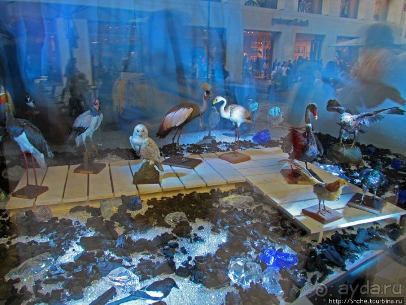 Витрины венских магазинов