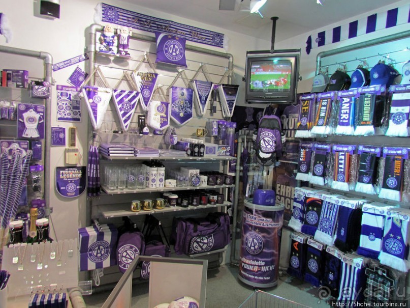 Витрины венских магазинов