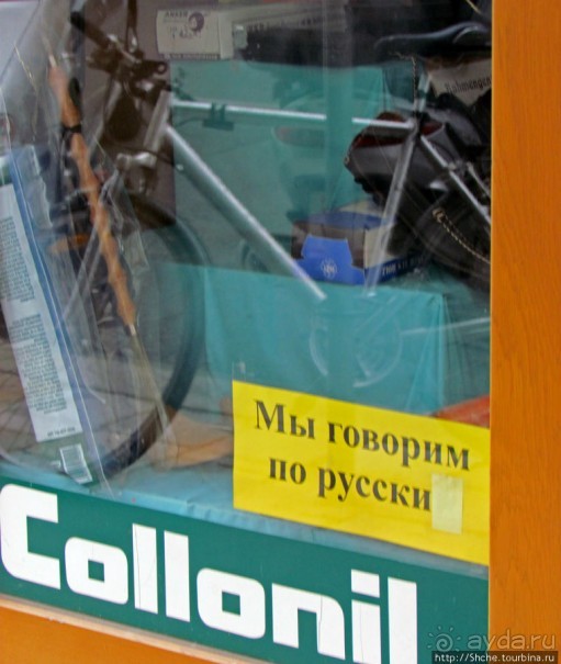 Витрины венских магазинов