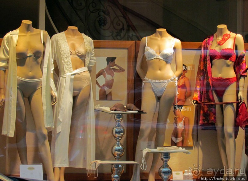 Витрины венских магазинов