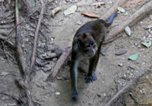 Как добраться к подземной реке Пуэрто-Принцесса по морю