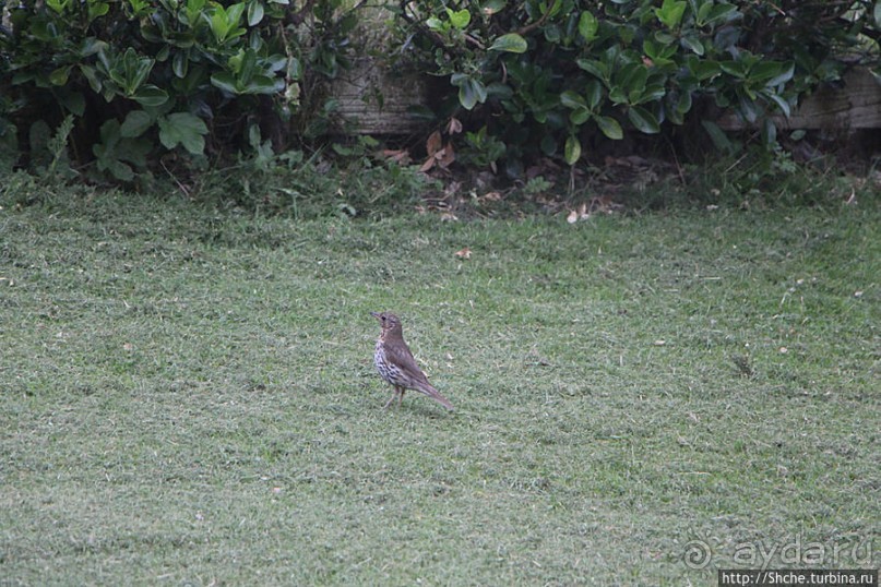 Приличный приятный ночлег на юго-западной окраине Ирландии