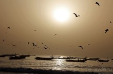 Альбом отзыва "Пестрая флотилия Мавритании на фоне пастельных закатов"