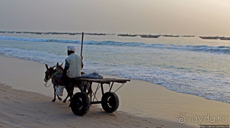 Альбом отзыва "Пестрая флотилия Мавритании на фоне пастельных закатов"