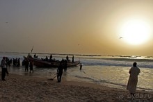 Альбом отзыва "Пестрая флотилия Мавритании на фоне пастельных закатов"