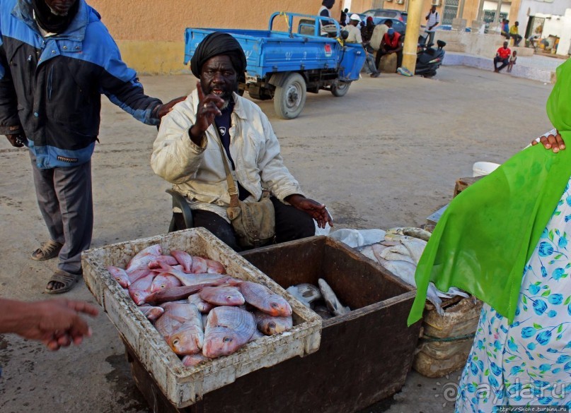 Альбом отзыва "Пестрая флотилия Мавритании на фоне пастельных закатов"