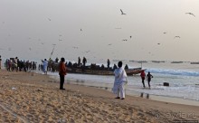 Альбом отзыва "Пестрая флотилия Мавритании на фоне пастельных закатов"