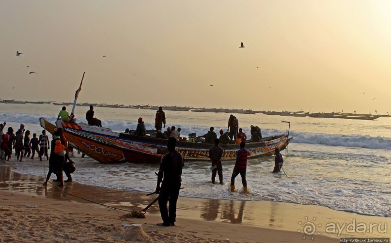 Альбом отзыва "Пестрая флотилия Мавритании на фоне пастельных закатов"