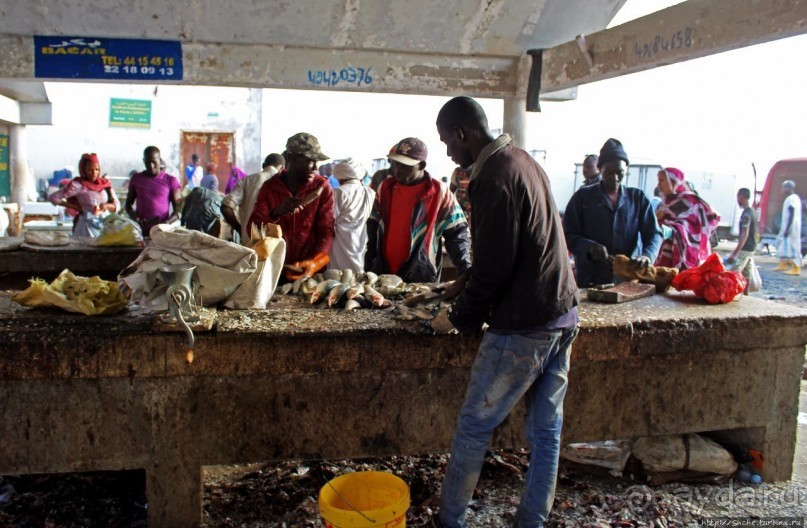 Альбом отзыва "Пестрая флотилия Мавритании на фоне пастельных закатов"