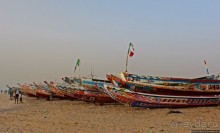 Альбом отзыва "Пестрая флотилия Мавритании на фоне пастельных закатов"