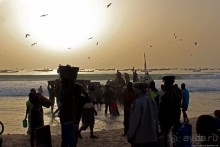 Альбом отзыва "Пестрая флотилия Мавритании на фоне пастельных закатов"