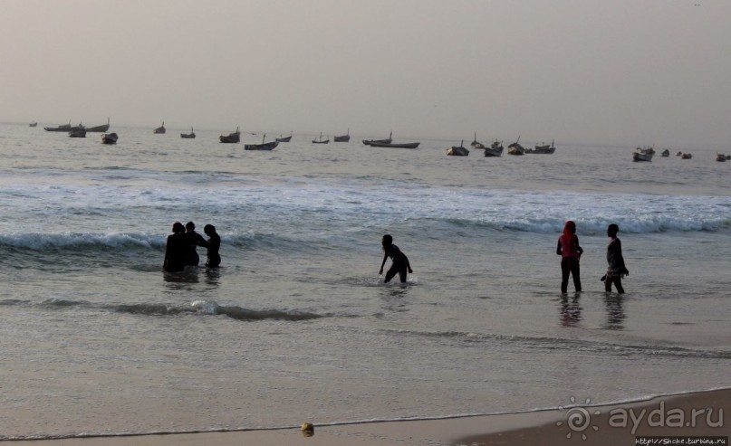 Альбом отзыва "Пестрая флотилия Мавритании на фоне пастельных закатов"