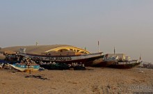 Альбом отзыва "Пестрая флотилия Мавритании на фоне пастельных закатов"