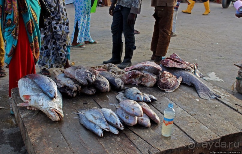 Альбом отзыва "Пестрая флотилия Мавритании на фоне пастельных закатов"