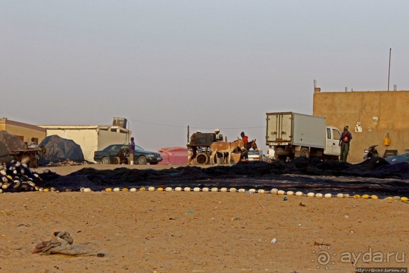 Альбом отзыва "Пестрая флотилия Мавритании на фоне пастельных закатов"