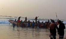 Альбом отзыва "Пестрая флотилия Мавритании на фоне пастельных закатов"