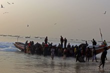 Альбом отзыва "Пестрая флотилия Мавритании на фоне пастельных закатов"