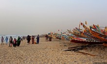 Альбом отзыва "Пестрая флотилия Мавритании на фоне пастельных закатов"