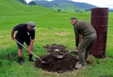 Маори — такие грозные, такие гостеприимные