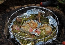 Маори — такие грозные, такие гостеприимные