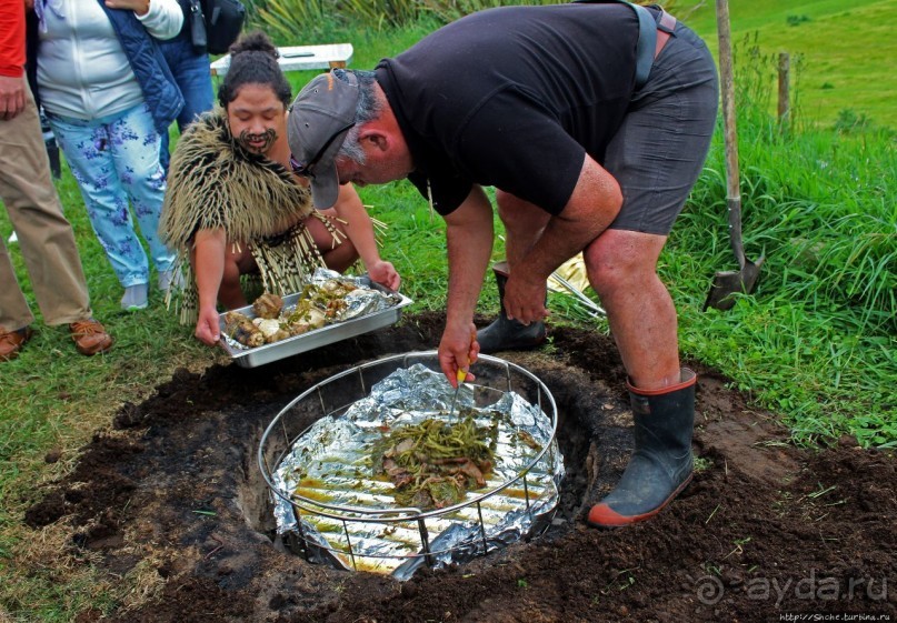 Маори — такие грозные, такие гостеприимные