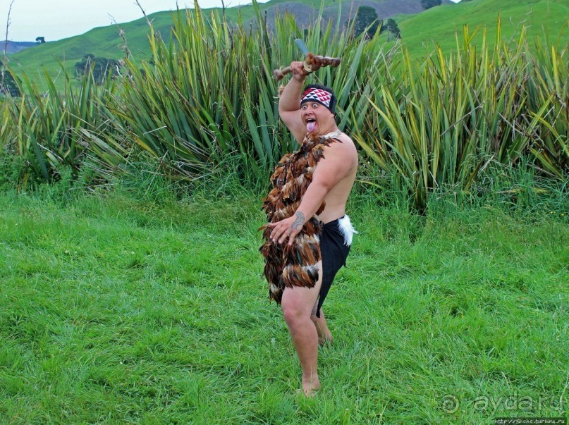 Маори — такие грозные, такие гостеприимные