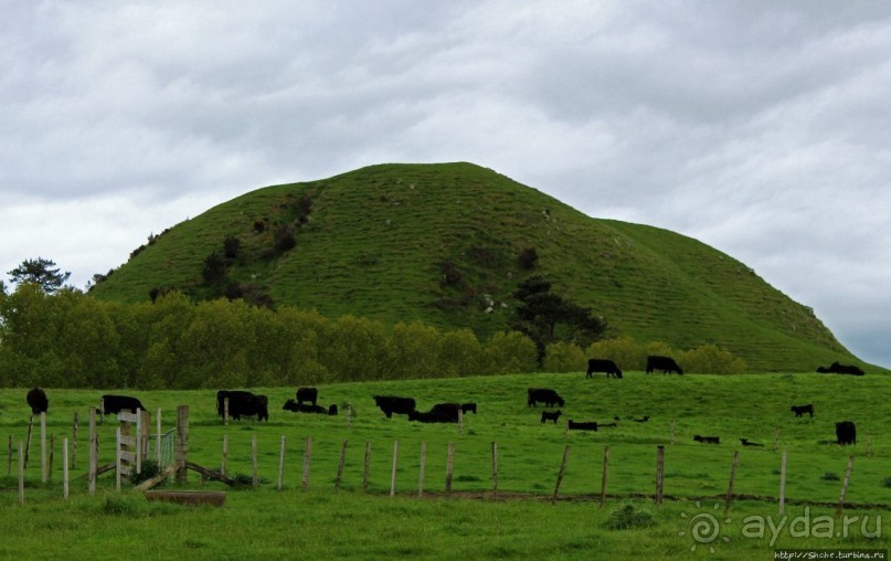 Маори — такие грозные, такие гостеприимные