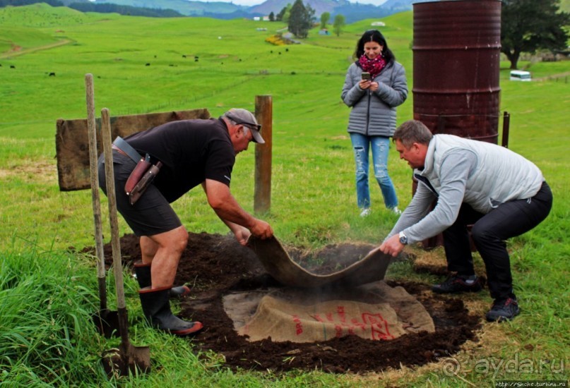 Маори — такие грозные, такие гостеприимные