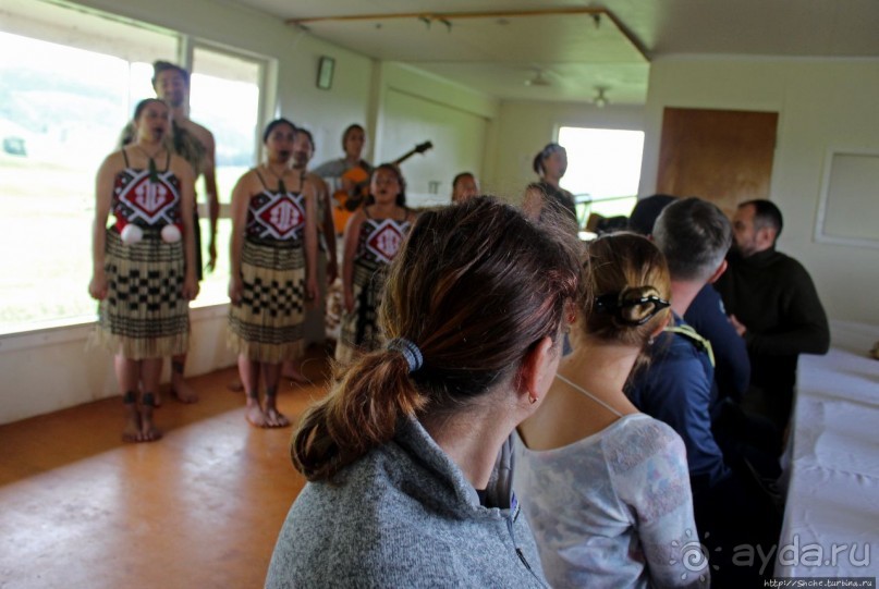 Маори — такие грозные, такие гостеприимные