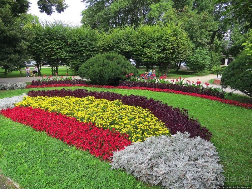 фото Замости