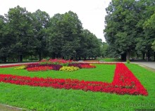 фото Замости