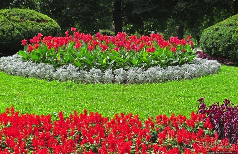 Парк, утонувший в цветах