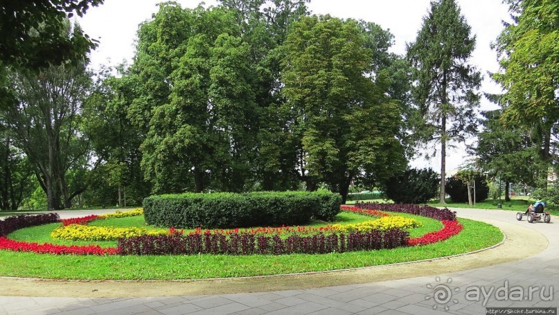 Парк, утонувший в цветах