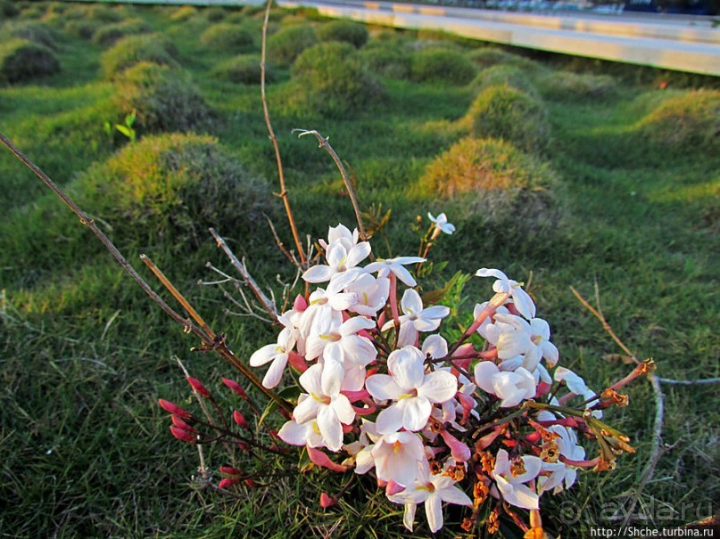 Набережная реки Тежу в районе Белем в Лиссабоне