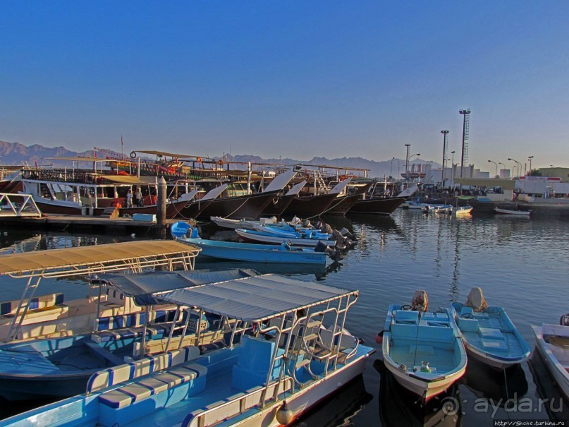 Дибба — ворота в регион оманских фьердов