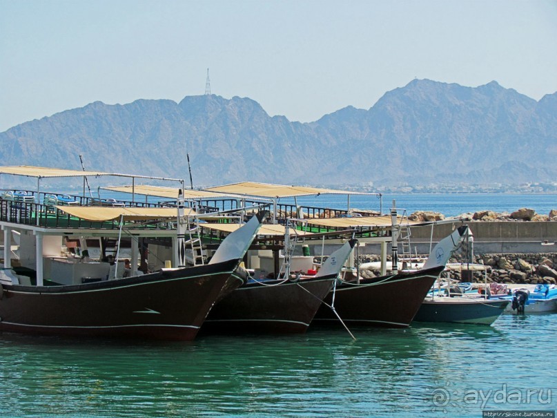 Дибба — ворота в регион оманских фьердов