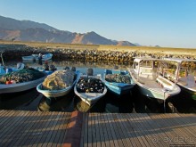 Дибба — ворота в регион оманских фьердов